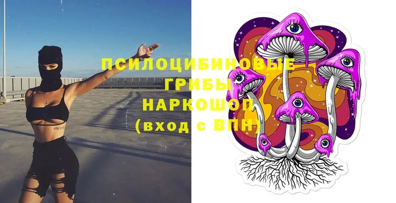 Галлюциногенные грибы MAGIC MUSHROOMS Болохово